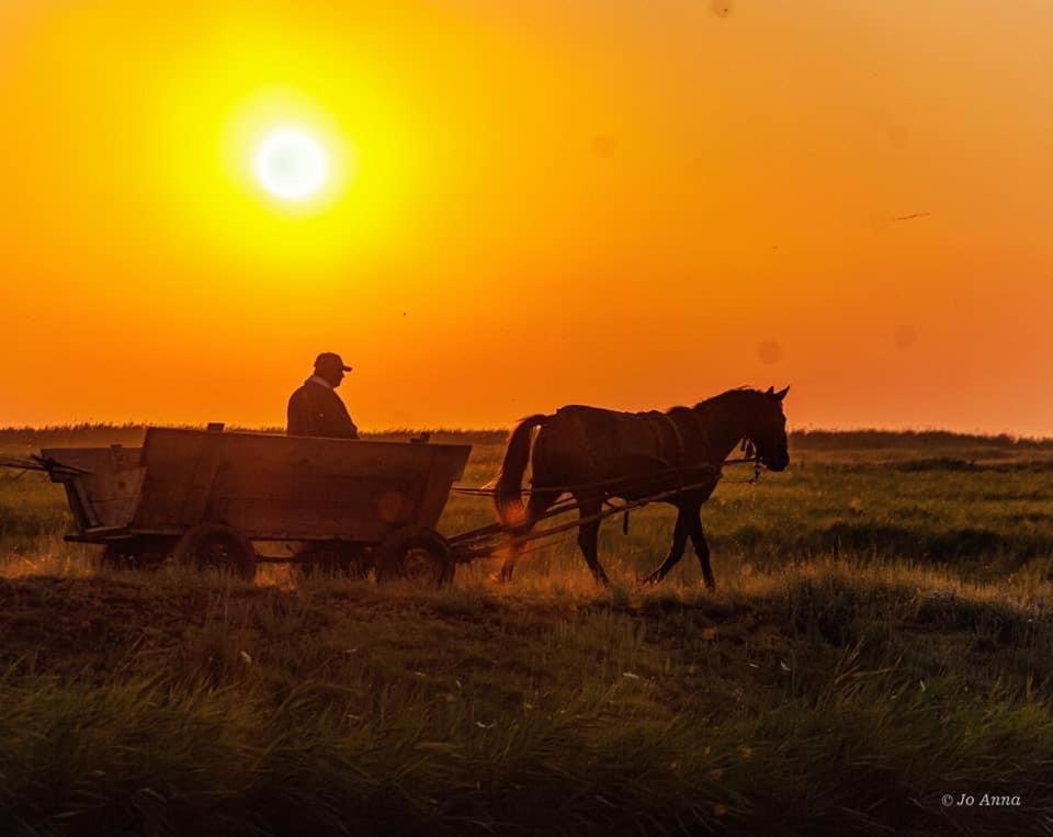 Отель Pensiunea Fabian Журиловка Экстерьер фото